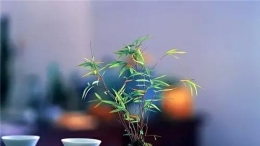 九气、九局、九品、九悟、九雅(荐读)