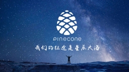 小米公司松果电子品牌LOGO